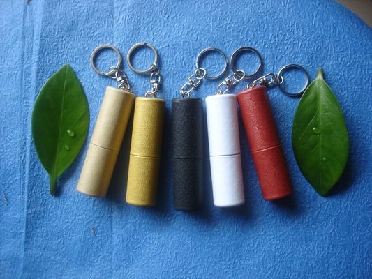 Promotiekeychain-Warteldocument de Flitsaandrijving van USB met 4GB/8GB/16GB